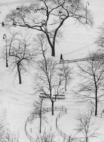 kertesz_whasington_square