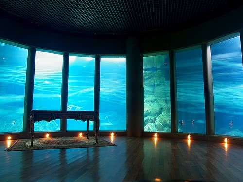 Aquarium_Finisterrae