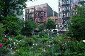 LOIDAIDA._Michela_Pasquali._Los_jardines_comunitarios_de_Nueva_York