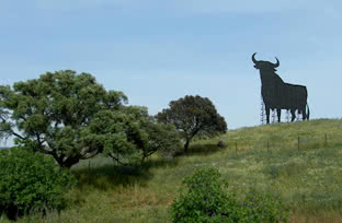 toro_de_osborne_de_SantaElena