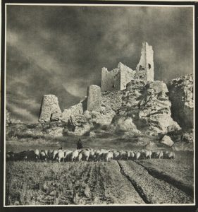 'José Ortiz Echagüe. Fotografías, 1903-1965. Fondos del Museo Universidad de Navarra'. Museo Evaristo Valle.